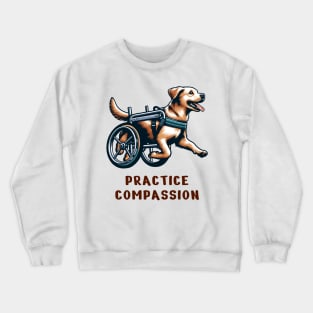 Inspirational Dog T-Shirt, Practice Compassion, Wheelchair Dog Tee, Animal Lover Gift Shirt, Pet Advocacy apparel Crewneck Sweatshirt